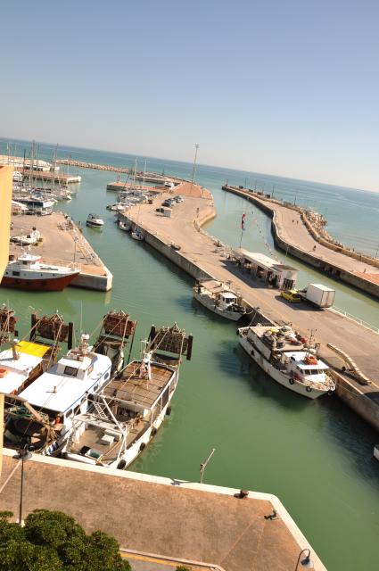 min 2010 08 08 palco centrale 040
